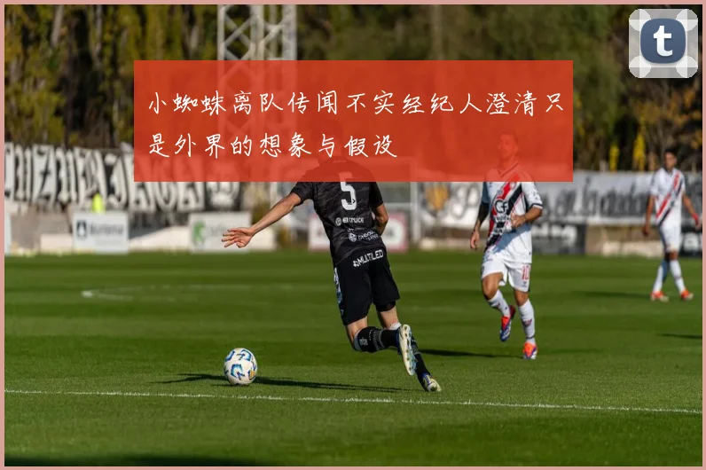 小蜘蛛离队传闻不实经纪人澄清只是外界的想象与假设