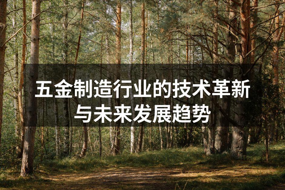 五金制造工厂的自动化生产线