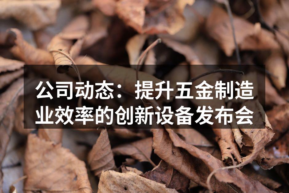公司动态:提升五金制造业效率的创新设备发布会