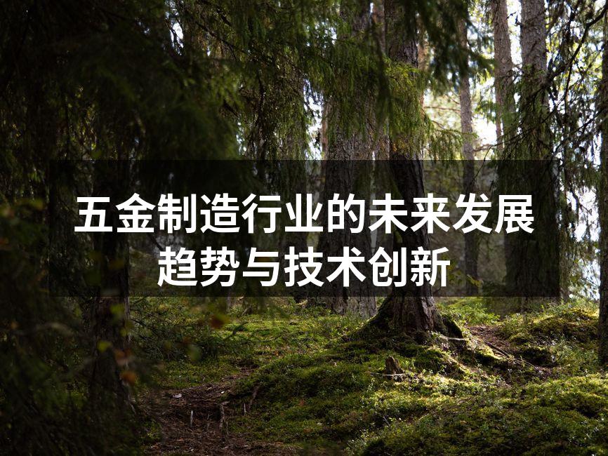五金制造行业的未来发展趋势与技术创新