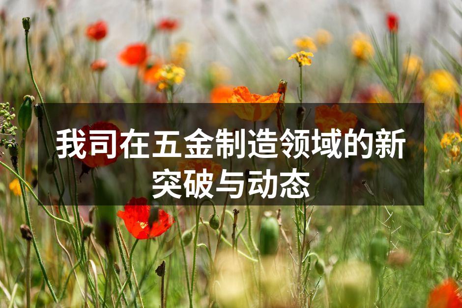 我司在五金制造领域的新突破与动态